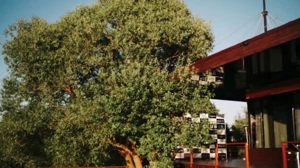 Groene Boom Bij Zonsondergang Bij Een Houten Gebouw — Stockvideo