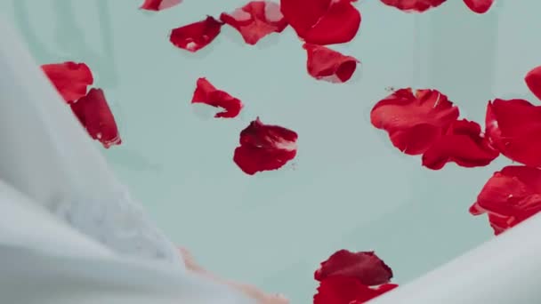 Charming Young Woman Sitting Bathtub Testing Water Valentine Day Red — 비디오