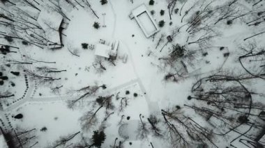 Winter landscape from the air parallel to the ground. Drone flying in winter. Bare trees in the winter in the country