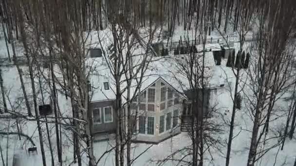 Winterlandschap Vanuit Lucht Evenwijdig Aan Grond Drone Vliegt Winter Bare — Stockvideo