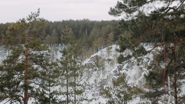 Enorma Steniga Berg Vintern Bland Skogen Antenn Utsikt — Stockvideo