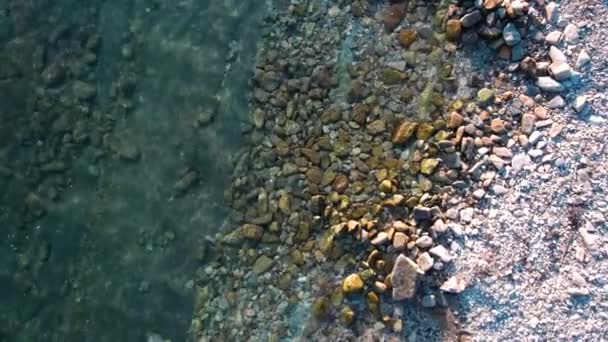 Vliegende Hel Aan Zee Met Een Rotsachtige Transparante Bodem — Stockvideo