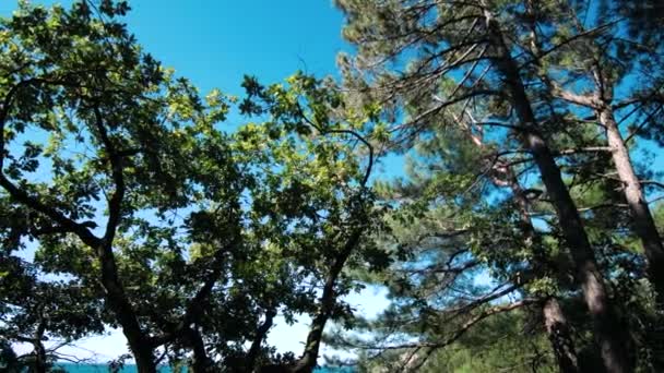 Campeggio Sul Mare Una Scogliera Massiccio Roccioso — Video Stock