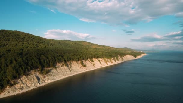 Grantoppar Som Avslöjar Branta Klippor Täckta Barrskog Vid Kanadas Kust — Stockvideo