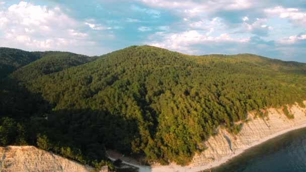 Lucfenyő Fák Fedik Fel Meredek Sziklafal Borított Tűlevelű Erdő Kanadai — Stock videók