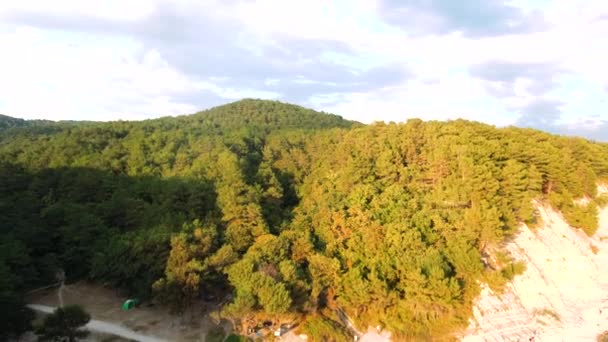 Las Copas Los Árboles Abeto Revelan Escarpada Cara Roca Cubierta — Vídeo de stock