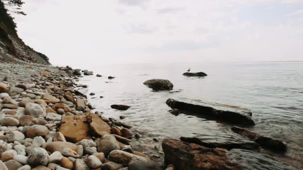 Primo Piano Del Pomeriggio Mare Onde Che Schizzano Sulle Pietre — Video Stock