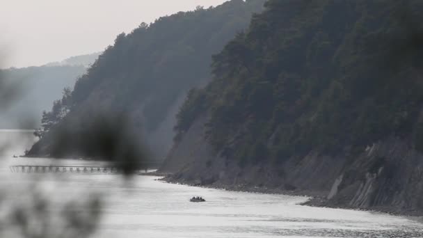 Berg Nära Havet Täckt Med Barrskog — Stockvideo