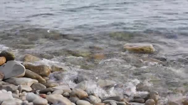 Morskie Popołudnie Bliska Fale Rozpryskujące Się Kamieniach — Wideo stockowe
