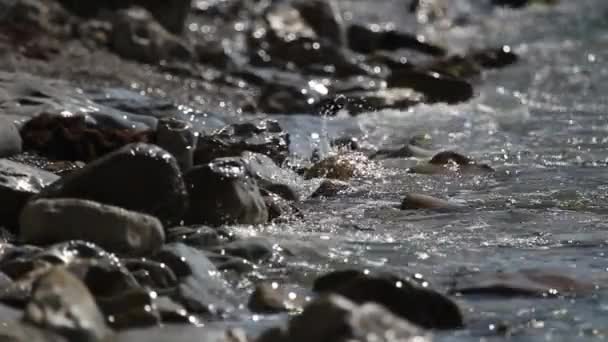 Primer Plano Tarde Mar Olas Salpicando Sobre Piedras — Vídeo de stock