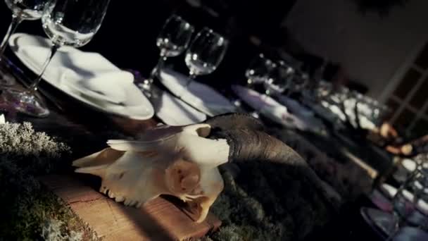 Lebka Rohy Mrtvého Zvířete Leží Stole Jako Výzdoba — Stock video