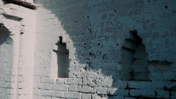 城堡墙壁 春天的框架 有战斗装置孔的旧城墙 — 图库视频影像