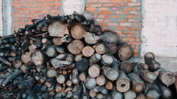 Grote Stammen Worden Gestapeld Een Grote Stapel Bomen Grond Worden — Stockvideo