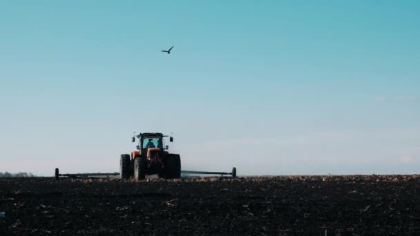 春の畑のトラクターは真っ青な空に黒い土をドラッグします 農業機械の分野で働く フィールドを播種する準備 — ストック動画
