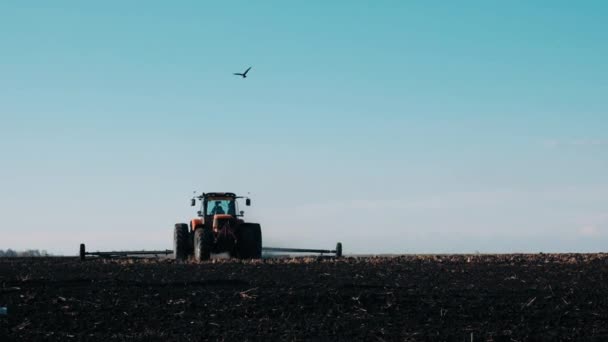 Tractor Campo Primavera Arrastra Tierra Negra Contra Cielo Azul Claro — Vídeos de Stock