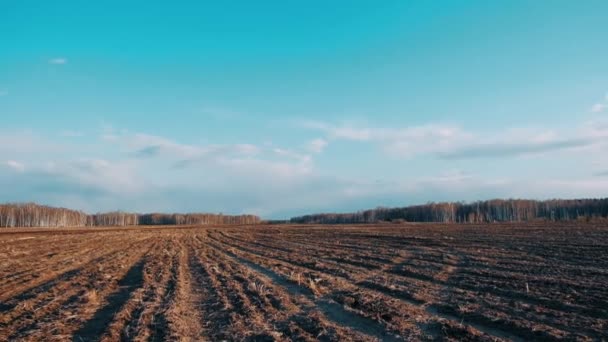 Szántott Mező Tavasszal Tiszta Napos Időben — Stock videók