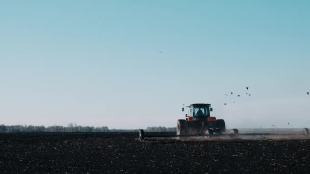 Tractor Campo Primavera Arrastra Tierra Negra Contra Cielo Azul Claro — Vídeos de Stock