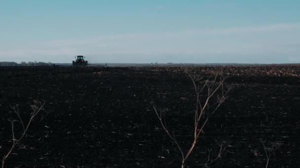 Traktor Pole Wiosnę Ciągnę Czarny Grunt Przeciw Jaskrawy Błękitny Niebo — Wideo stockowe