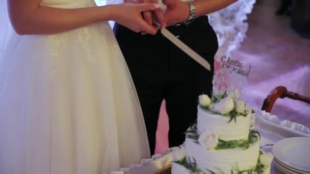 白い層状のウェディングケーキ プレートの上に結婚式のケーキをカットして置く — ストック動画