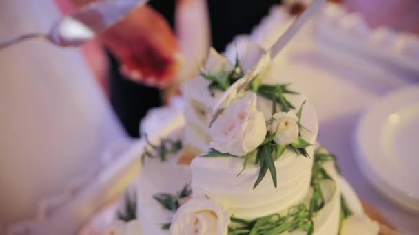 Beyaz Katlı Düğün Pastası Kes Bir Düğün Pastasını Tabağa Koy — Stok video