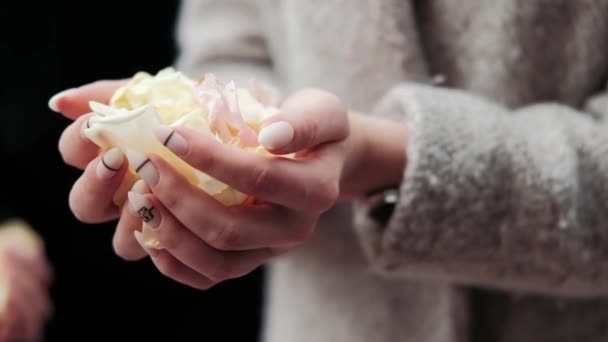 흰색을 한줌뿌려진 손바닥에 장미꽃 — 비디오