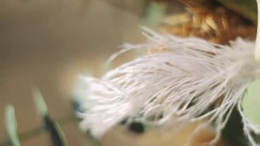 Boho düğün buketi. Rüzgarda sallanan büyük beyaz bir tüy. Boho düğün buketi doğada bir sandalyede yatıyor.