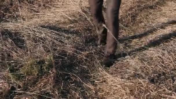 美しいスーツで秋の草の上を歩く男性の足を閉じる — ストック動画