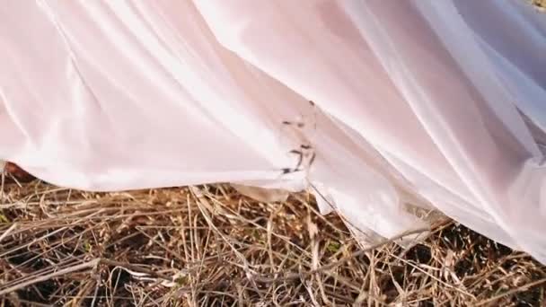 Потяг Жіночої Весільної Сукні Дівчина Гуляє Траві Довгій Весільній Сукні — стокове відео