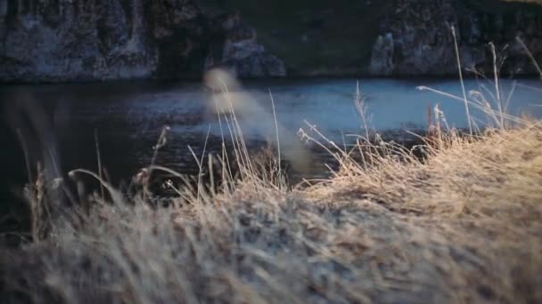 Hierba Amarilla Otoño Cerca Del Río Negro — Vídeo de stock