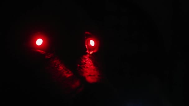 Sfenks Simsiyah Parlak Kırmızı Gözleri Olan Karanlık Bir Odada — Stok video