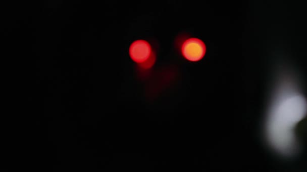 Sphinx Schwarz Einem Dunklen Raum Mit Glühend Roten Augen — Stockvideo