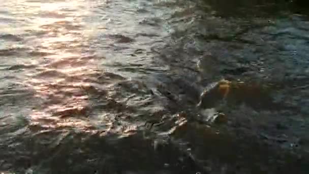 Движение Воды Реке — стоковое видео