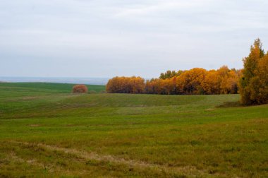 Tarlalarda ve ormanlarda sonbahar altını