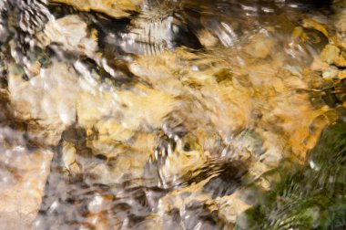 Esrarengiz bahar akışı tabanı