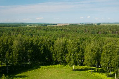 Yaz alanları, tarlalar, ormanlar ve gökyüzü