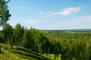 Yaz alanları, tarlalar, ormanlar ve gökyüzü