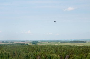 Yaz alanları, tarlalar, ormanlar ve gökyüzü
