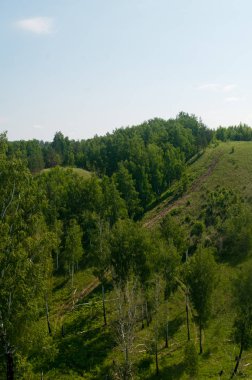 Yaz alanları, tarlalar, ormanlar ve gökyüzü
