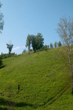 Yaz alanları, tarlalar, ormanlar ve gökyüzü