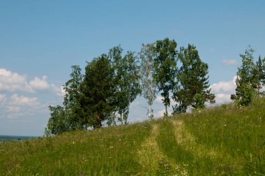 Yaz alanları, tarlalar, ormanlar ve gökyüzü