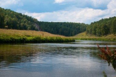 Ormanda kuruyan yaz nehri