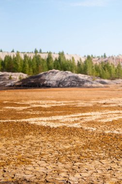 Mars 'a benzer bir kil ocağı