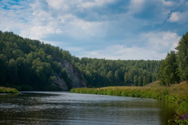 Latem Kręta Rzeka Lesie — Zdjęcie stockowe