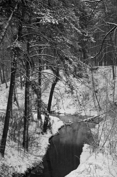 Hiver Ruisseau Non Gelé Noir Blanc — Photo