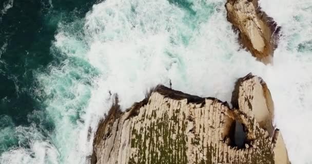 4K top udsigt over fugle svævende over den klippefyldte ørken ocean ø Peniche Portugal – Stock-video