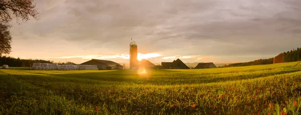 Goldener Sonnenuntergang über dem Bauernhof Stockbild