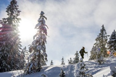 Karla kaplı çam ormanlarında kar ayakkabısı giyen genç bir kadın.
