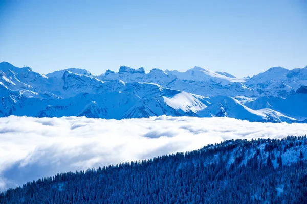 Azul inverno montanha panorama, neve coberto azul montanha camadas — Fotografia de Stock