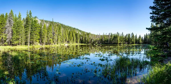 Нимфоманское озеро в лесу с водяными лилиями, горный национальный парк — стоковое фото