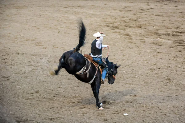 09.09.2019 Cody, Вайомінг, США: Cowboy Rodeo show — стокове фото